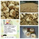 함평로컬푸드 영농조합법인 이미지