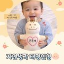 전원말안길 2_ | 임신 축하 선물로 좋은 자연생각 오가닉 애착 인형 내돈내산 리뷰 I 말띠 아기, 태명 인형, 출산선물