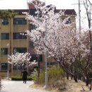 제목 : 1회 화곡본동 볏골공원 축제 행사 (안) 후원회 이미지