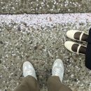 제일석유 | [SK인천석유화학벚꽃동산] 인천 숨은 벚꽃명소로 사람...찍기 좋은 벚꽃스팟(2025년 방문 후기 및 주차)