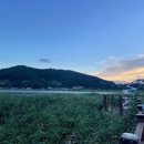 소라면 가사리 이미지