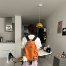 복대박 이미지