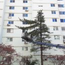 태진환경자원 이미지