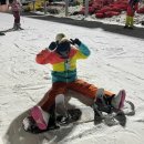 온달 그루밍 | [일상] 타롱이의 2월 : 마침내 다가온 퇴사와 스키장 벼락치기