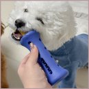 1시간만 놀다가 이미지