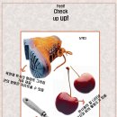 디자인필 이미지