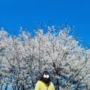 갑천로 이미지