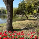 범준농장 | 🌷 서울숲 성수동 초밥 맛집 스시도쿠 더성수를 소개합니다. 🌷