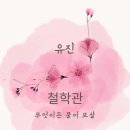 사주헤어 네이버블로그
