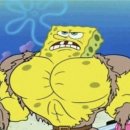 조GYM 이미지