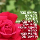 중앙성결교회 이미지
