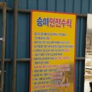 전원사슴농장 이미지