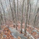 제장농장 이미지