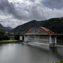 대교조명 | 단양 야경명소 고수대교 경관분수 시간 후기
