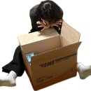 [개포1] 디자인펜 캘리그라피 | [곰신로그 02] 일병 진급 택배 준비 - 택꾸O / 개포X / 물품 추천 / 특별한 선물