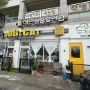 캣라운지 이미지