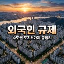 부동산 규제와 제도 | 외국인 부동산 규제 서울 경기 인천 토지거래허가제 실제 반응은