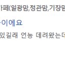 트라웰 기장점