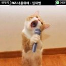 삼총사분식
