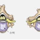 거창의원 이미지