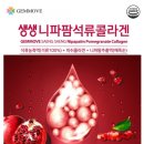 니파팜코리아