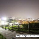 화이팅부동산중개사무소 이미지