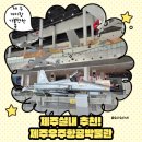 제주항공우주박물관 | 비오는 날 아이와 가기 좋은 곳! 제주항공우주박물관 솔직 후기