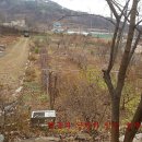 미화농장 이미지