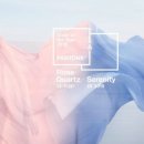 네일플로르 이미지