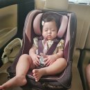 일왕족발 | 파워 J의 오사카 2박 3일 _ 2일차