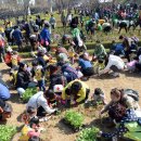 고운손길 이미지