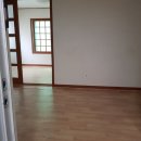 중앙초교 Daum카페