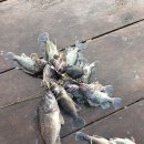 대일수산 이미지