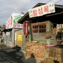 넝쿨호프 이미지