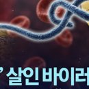 변종 에볼라 확산, 그 섬뜩한 경고!... 필자의 경험기 이미지
