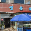 대하탕 | 전현무계획 보령 죽도 대하탕 새우구이 전어회 해물칼국수 맛집 위치 주소 예약 / 영준네