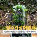 낙동강변로7-17 | 상주 가볼 만한 곳 중 조용한 힐링 공간 상주 관상어 전시 후기