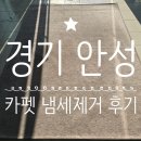 순환세탁 | [안성 카펫 세탁 후기]카펫 냄새가 고민이신가요? 그럼 불러주세요