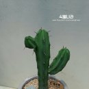 용신농장 이미지