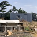 용수길 114 이미지