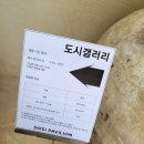 부산 전시 광안리 도시파빌리온 더 뉴가드닝 관람 후기
