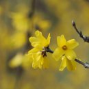 장수천* 이미지