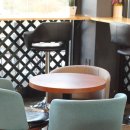 커피트리 이미지