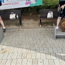 토리엔모리 이미지