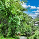 다모아 민박펜션 이미지