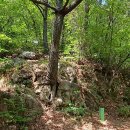 창원 삼정자동 마애여래좌상 이미지