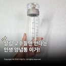 시노안 | 시노글라스 오일병 키텐실 양념통 소스통 내돈내산 솔직 후기