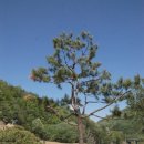 충북조경 - 서구 경명대로 755 | 충북조경
