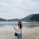 창기목장 | 2022 여름, 남해 (온실속베니, 힙한식, 상주은모래비치)