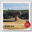 예스환경 | 대만여행))예스허지2탄_인생샷100만장_예스허지투어 내돈내산후기_예류+스펀